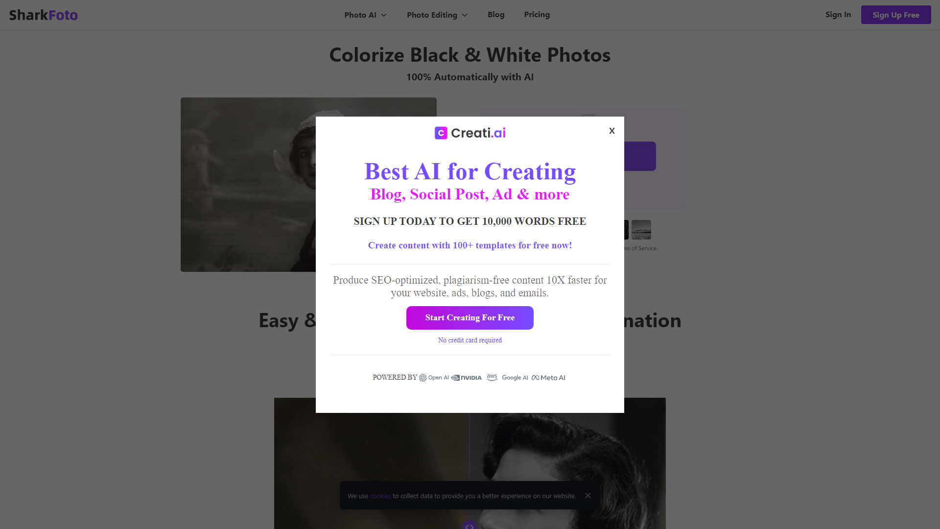 Convert Black and White Image and Photo to Color with AI Magic | ImageColorizer